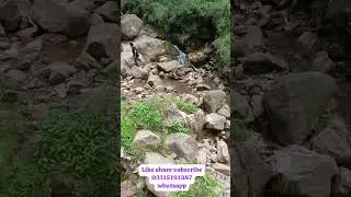 Property for sale in murree #murree #murreetour #murreeview #plot #viral #viralshorts #viralshort
