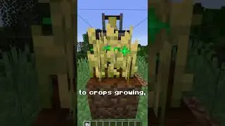 How do Observers Work in Minecraft?
