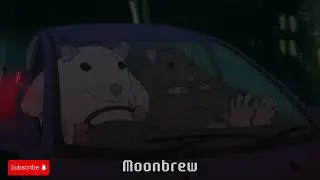 ✧･ﾟ: ✧ Ｒｈｙｔｈｍｓ Ｕｎｄｅｒ Ｓｏｆｔ Ｎｅｏｎ Ｓｋｉｅｓ ✧:･ﾟ✧ | Lofi hip-hop groovy music by Moonbrew 🌙