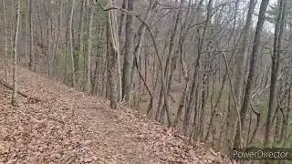 6. Low Gap Shelter to Unicoi Gap