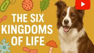 The 6 Kingdoms of Life Explained