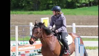 Mai 16, 2021Springkurs mit Joe S. Union Team Happy Horse Waizenkirchen