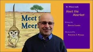 Meet the Meerkat