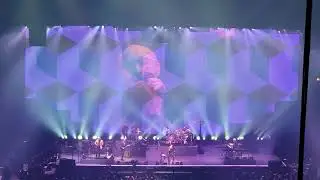 Genesis - Misunderstanding