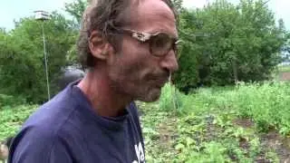 Farming Purslane with Ross Brockley