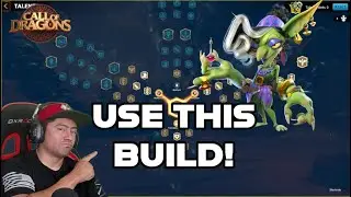 MAGGRAT ZAYDA GUIDE - TOP TIER