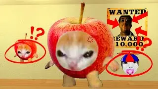 Angry Apple Cat Wants Me To Find Baby Apple Cat And Kill Obung Family