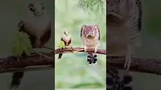 Beauty of Nature🌿🍃🌿🍃