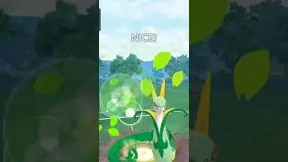 #morpeko sweeps back line #Pokemon#pok&eacute;mongo#PvP#gbl