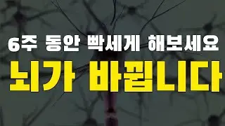 6주 동안 빡세게 하면 뇌가 바뀝니다. 그리고 추가로 이것도 바뀔 수 있습니다. (영상 말미에 정답이 나옵니다.)