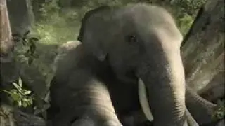 Funny Advertising Video Elephant - LG Electronics