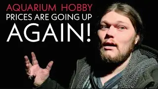 THE REAL QUESTION WE NEED TO ASK OF THE AQUARIUM HOBBY: Do We Want The Hobby Being MADE IN CHINA?