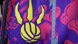 Шорты Toronto Raptors Just Don Red