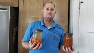 Hot Pepper Ferments! FERMENTATION AFTER TWO WEEKS! 🌶️🔥 #fermentation #hotsauce #sriracha