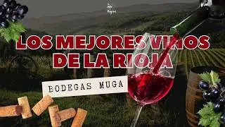 No sab&iacute;a que el vino se viv&iacute;a as&iacute; 🍷 | Visita y cata en Bodegas Muga