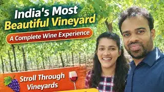 Inside India&rsquo;s Most Beautiful Vineyard 🍇 | Complete Wine Experience