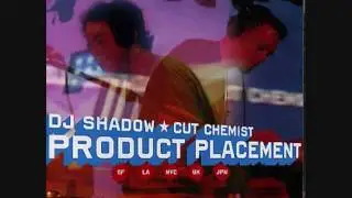 dj shadow & cut chemist - real thing