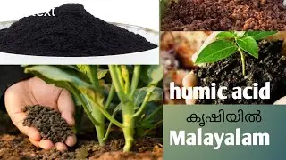 humi star in agriculture/Malayalam കൊടുക്കുന്ന വളങ്ങൾ എല്ലാം ചെടി പെട്ടെന്ന് വലിച്ചെടുക്കാൻ