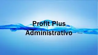 Curso Profit Plus Administrativo B&aacute;sico