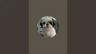The kittu world  is live
