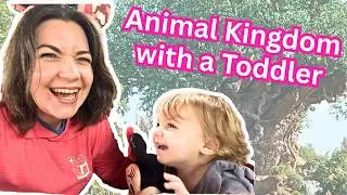 Animal Kingdom with a Toddler? Here's What Actually Works
