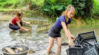 Rewind Time-Lapse | 30 Days Setting Fish Traps, Harvest Big Fish & Bring to Market Sell