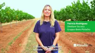 Massima resa dei pistacchi con poca acqua – Successo IberoPistacho & Rivulis