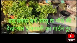 Gardening with Suraj Parihar is live!#organic #grow your own food#gardening#potato #soil#motivation 