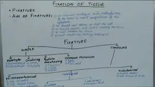 FIXATION_TYPES OF FIXATIVES_HISTOPATHOLOGY.