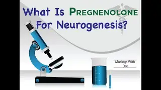 What is Pregnenolone, and Why is It So Important For Repairing the Brain?