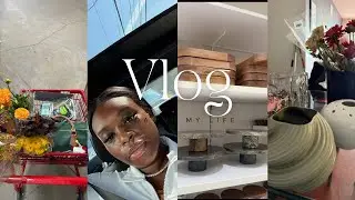DAILY VLOG| spend a day with me. Trader Joe’s, H&M Home etc