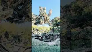 Pandora | World of Avatar |  Disney Animal Kingdom | Orlando