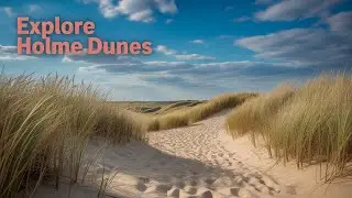 Anna&rsquo;s Enchanting Journey Through Holme Dunes