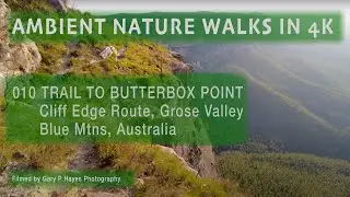 ASMR 010 TO BUTTERBOX POINT OVER CANYON cliff edge trail AMBIENT NATURE WALKS 4K Blue Mountains