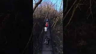 Insta 360 X3 c монологом 3 метра. Прогулка в лесу.
