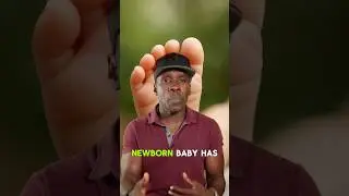A newborn baby has more bones than an adult. Truth or Trash Episode 281 #biology