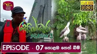 Sobadhara -  Sri Lanka Wildlife Documentary | 2019-04-26 | Colombo Wet Lands