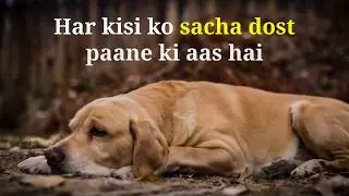 Friendship Day Wishes, Messages, SMS, Quotes & Sayings in Hindi 2018
