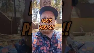 FAQ's Part 2! Let me know if you have any more