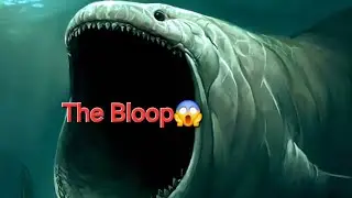 The Bloop: A Deep Ocean Horror Story