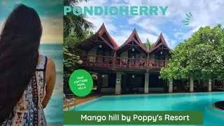 Best and affordable Pondicherry resorts| Mango hill by Poppy's| Auroville| Review Vlog