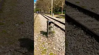 Tongluo Station🚊🚞💺🚉🚂🚆🚄🚅🚃🚇🚟🛤️🚝🚋🚈 #shortsvideo #shortvideo #shorts #short #train #sun