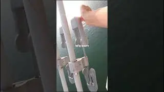 Wie ein kleines Ger&auml;t Stromleitungen vor dem Bruch rettet