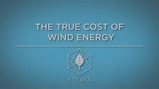 The True Cost of Wind Energy