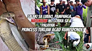 LALAKI SA LUBAO, PAMPANGA NATUKLAW NG COBRA SA PALAYAN Princess Tuklaw at ROD TUKLAW AGAD RUMISPONDE