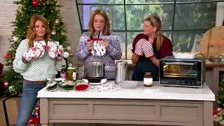 KitchenAid 4-Piece Seasonal Mini Oven Mitts on QVC