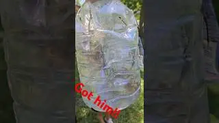 how to catch gophers...the fast easy way. kids love it