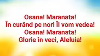 NEGATIV ORIGINAL - TRAMBITA DIN CER RASUNA REBECA GHICA 2018