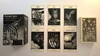 Untamed Spirit Animal Oracle. Karty. Książka. Przegląd. Prezentacja  🔔PL