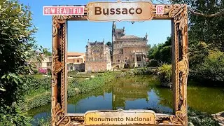 Exploring the Amazing BUSSACO - AVEIRO, PORTUGAL
